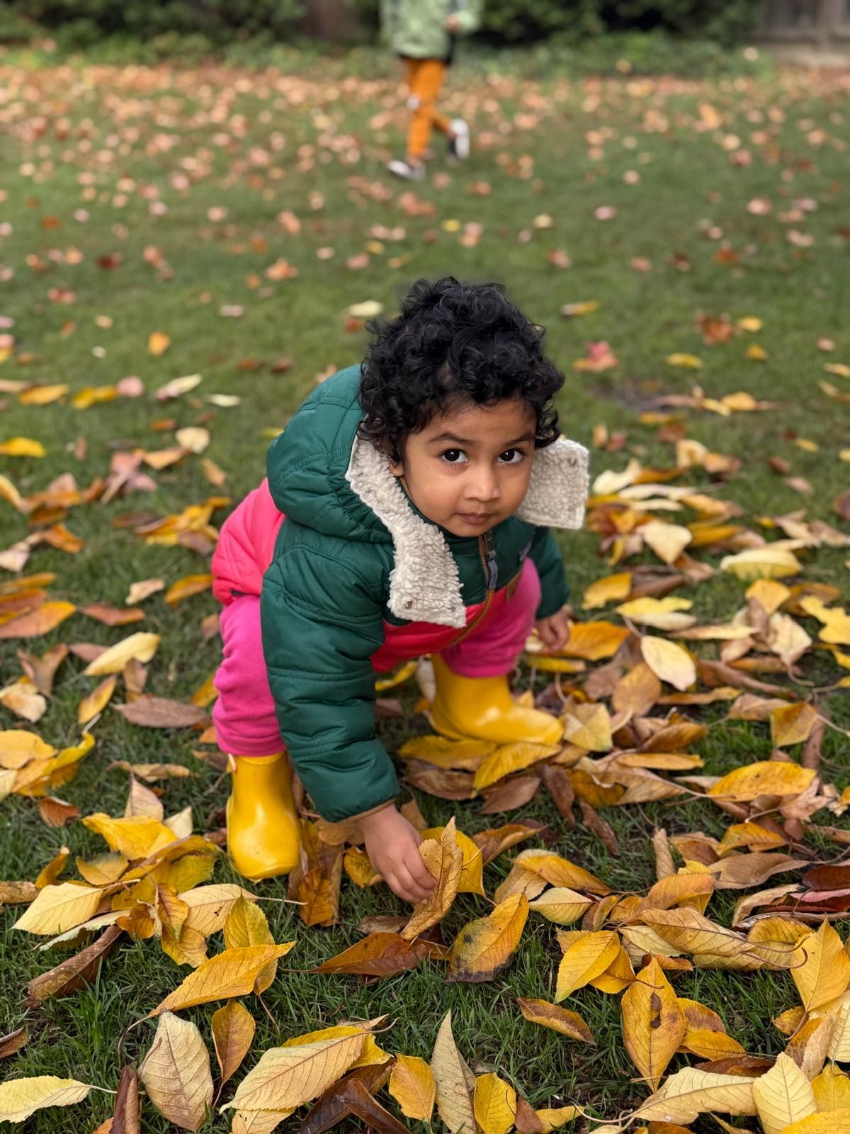 Toddler playing joyfully in autumn leaves